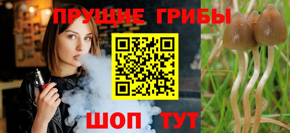 Псилоцибиновые грибы мухоморы Дивногорск